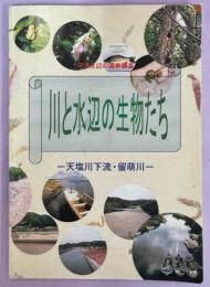 河川水辺の国勢調査　川と水辺の生物たち　天塩川下流・留萌川