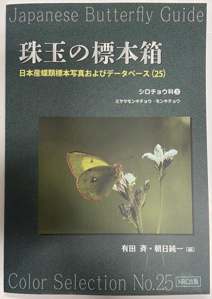 標本箱　シジミチョウ科　⑱ 標本箱 シジミチョウ科 ⑱ - メルカリ