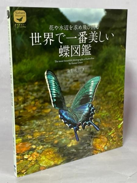 世界で一番美しい蝶図鑑 : 花や水辺を求め飛び回る(海野和男著) / 古本
