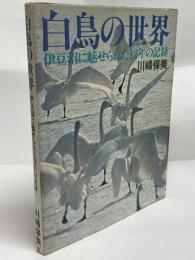 白鳥の世界 : 伊豆沼に魅せられた12年の記録