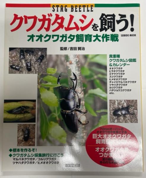 マングローブ入門 : 海に生える緑の森(中村武久, 中須賀常雄 著) / 南陽堂書店 / 古本、中古本、古書籍の通販は「日本の古本屋」 / 日本の古本屋