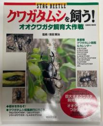 クワガタムシを飼う! : オオクワガタ飼育大作戦