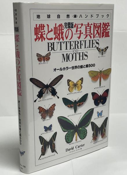 超希少】【初版、美品】古本 原色図鑑 夜蛾百種 吸蛾類を中心