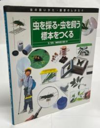 虫を採る・虫を飼う・標本をつくる