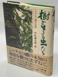 樹と生きる虫たち : シャチホコ蛾の生態