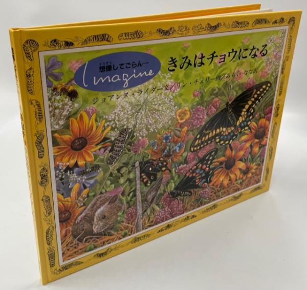 世界のクワガタムシ大図鑑(水沼哲郎, 永井信二 著) / 南陽堂書店 世界のクワガタムシ大図鑑(水沼哲郎, 永井信二 著) / 南陽堂書店