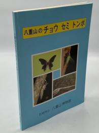 八重山のチョウ、セミ、トンボ