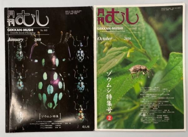 月刊むし443、548号 ゾウムシ特集1、2 / 古本、中古本、古書籍の
