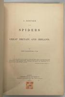 A history of the spiders of Great Britain and Ireland