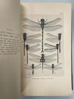 The Insects of Australia and New Zealand