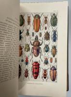 The Insects of Australia and New Zealand