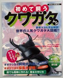 初めて飼うクワガタムシ　