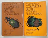 A Manual of Common Beetles of Eastern North America
