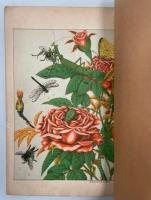 昆虫世界 : 薔薇之一株