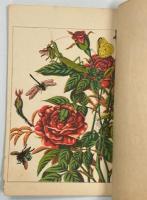 昆虫世界 : 薔薇之一株
