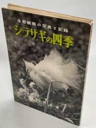 シラサギの四季 : 生態観察の写真と記録