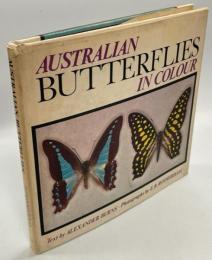 Australian Butterflies in Colour