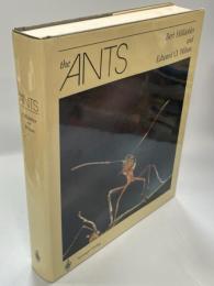 The ants