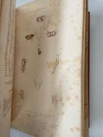 Essai d'une classification de la famille des Cerambycides et materiaux pour servir a une monographie de cette famille