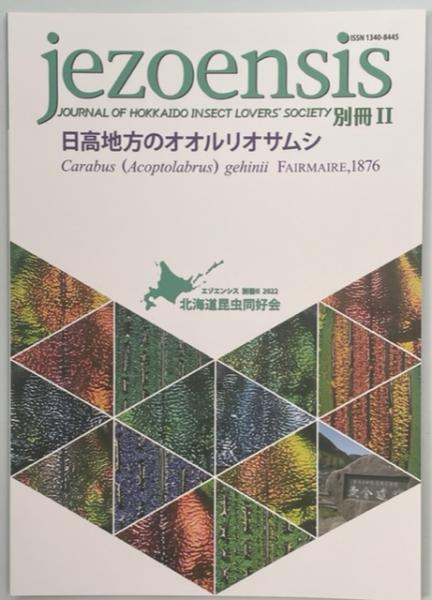 アラメオオルリオサムシ (様似町 ニカンベツ産) オオルリオサ ペット