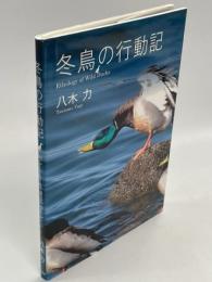 冬鳥の行動記