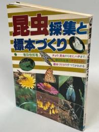 昆虫-採集と標本づくり