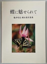 蝶に魅せられて　亀井昭伍 蝶生態写真集