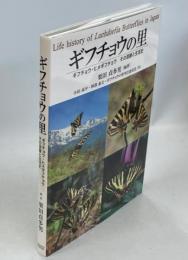 ギフチョウの里　ギフチョウ・ヒメギフチョウその混棲と生活史