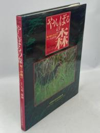 やんばるの森 : 輝く沖縄のいきものたち