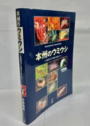 本州のウミウシ : 北海道から奄美大島まで