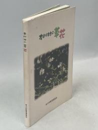 本川村の草花