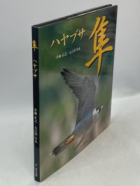 中古】臨床場面におけるロールシャッハ法<精神科学全書 20