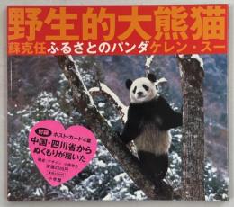 ふるさとのパンダ : 野生的大熊猫