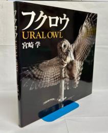 フクロウ : Ural owl