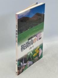 鞍掛山の花 : イーハトーブ風景地