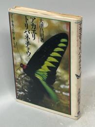 アカエリトリバネチョウ : マレー半島の自然と蝶の生活