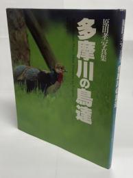 多摩川の鳥達 : 原田孝一写真集