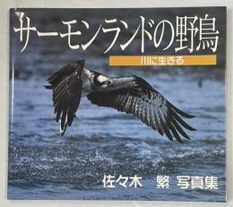 サーモンランドの野鳥　川に生きる