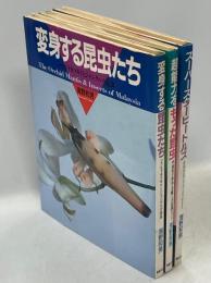 日本テレビの昆虫シリーズ　全3冊(スーパースタービートルズ／変身する昆虫たち／超能力をもった昆虫)