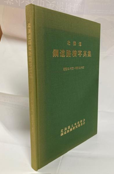 セオドア・ドライサー論 : アメリカと悲劇(村山淳彦 著) / 南陽