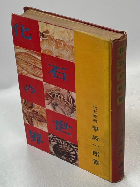 微化石 顕微鏡で見るプランクトン化石の世界