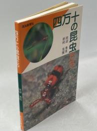 四万十の昆虫たち