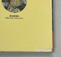 四万十の昆虫たち
