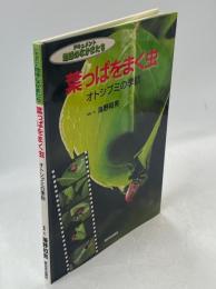 葉っぱをまく虫 : オトシブミの季節