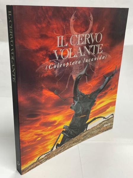 アート・デザイン・音楽 IL CERVo VOLANTE (Coleoptera lucanidae) IL CERVo VOLANTE (Coleoptera こごも lucanidae)