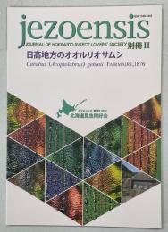 日高地方のオオルリオサムシ