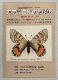 昭和63年度柏市民サロン特別展 アフガニスタンの蝶−酒井コレクションより-