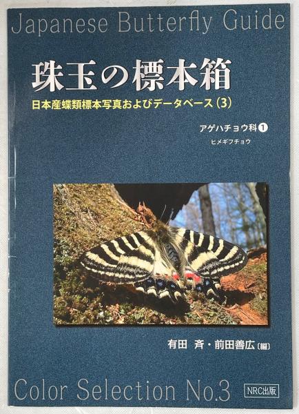 【蝶標本】国産ヒカゲチョウ 蝶標本】国産ヒカゲセット （国産蝶標本 クロヒカゲ A-♂ 東京