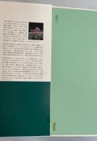 甲虫の世界 : 地球上で最も繁栄する生きもの