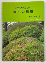 庭木の観察